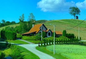 Seosko turističko domaćinstvo Jolović GUČA Veles